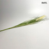 Kép 5/6 - smol.hu - lelea tollas fű műnövény fekve