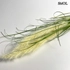 Kép 6/6 - smol.hu - lelea tollas fű műnövény felülről