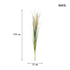 Kép 3/6 - smol.hu - lelea tollas fű műnövény méretekkel