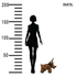 Kép 11/11 - smol.hu - THOMA, kutya ajtótámasz, 17 cm méretarányosan